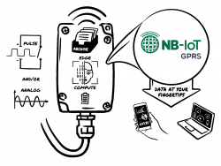 WAN Edge Computing Concentrator