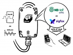 WAN Data Concentrator (NB-IoT or Sigfox)